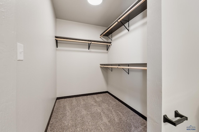 spacious closet with carpet