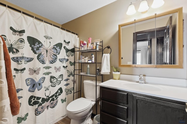 bathroom featuring toilet, vanity, and curtained shower