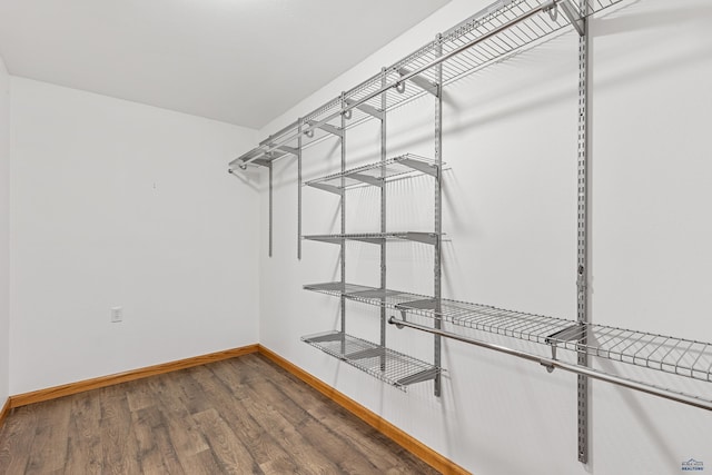 walk in closet with dark wood-type flooring