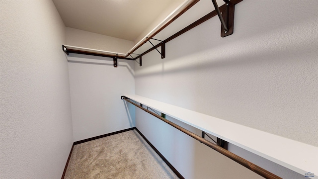 walk in closet with carpet flooring