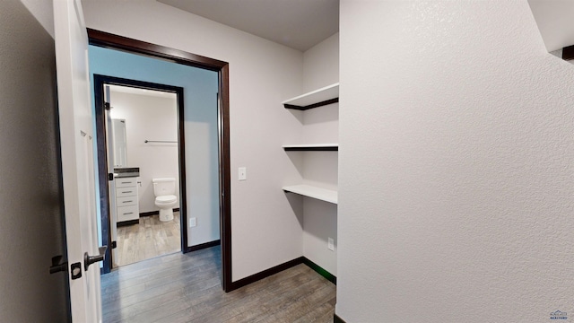 spacious closet featuring dark wood-type flooring