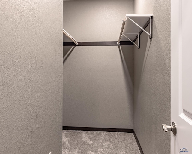 walk in closet with carpet