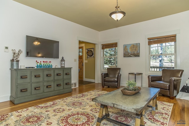 living room featuring a healthy amount of sunlight and light hardwood / wood-style flooring