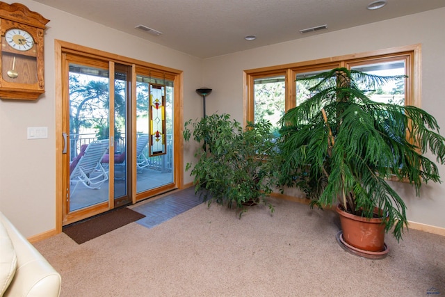 doorway featuring carpet floors