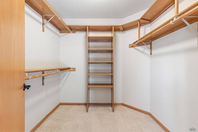 walk in closet featuring light colored carpet