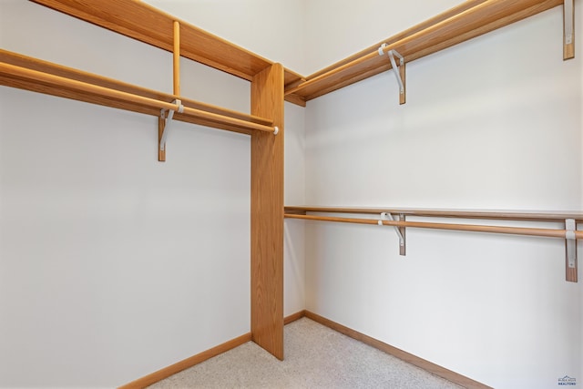 walk in closet featuring light carpet