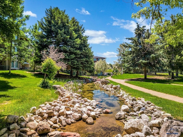 view of property's community with a lawn