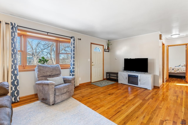 living room featuring light wood-type flooring