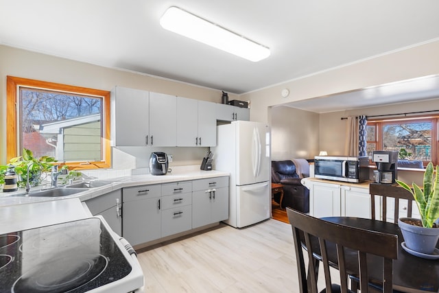 kitchen featuring sink, white fridge, and light hardwood / wood-style flooring