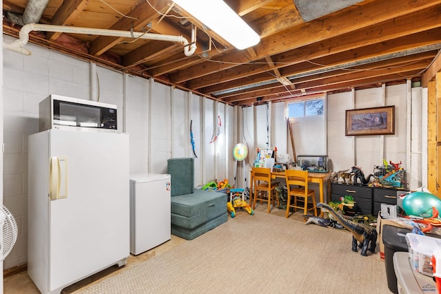 basement with white refrigerator and fridge