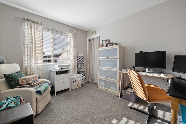 home office with carpet floors