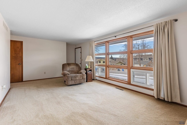 unfurnished room featuring light colored carpet and a textured ceiling