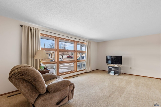 carpeted living room with a textured ceiling