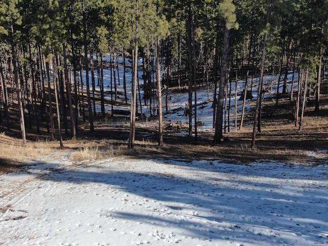 23232 Clear Creek Rd, Rapid City, SD 57702 - view of snowy yard