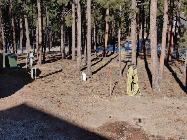 23232 Clear Creek Rd, Rapid City, SD 57702 - view of yard