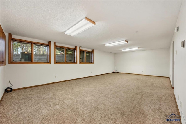 empty room featuring carpet floors and a textured ceiling