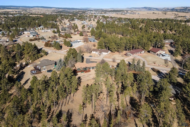 drone / aerial view featuring a mountain view