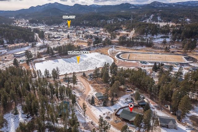 369 Deegan Dr, Hill City, SD 57745 - aerial view with a mountain view