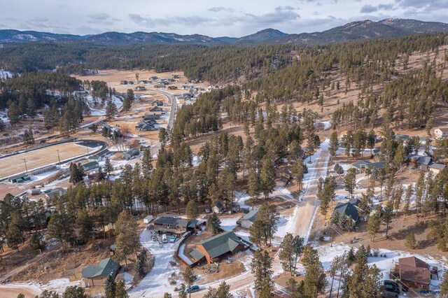 369 Deegan Dr, Hill City, SD 57745 - aerial view featuring a mountain view