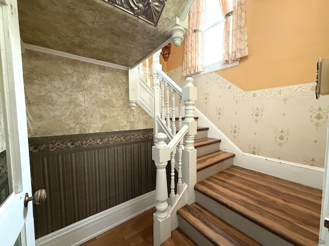 stairway with wood-type flooring