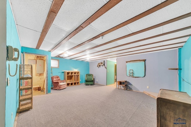 playroom featuring carpet flooring