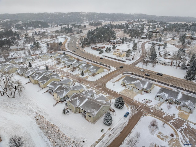 view of snowy aerial view