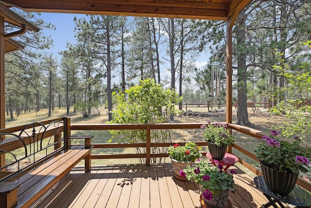 view of wooden deck