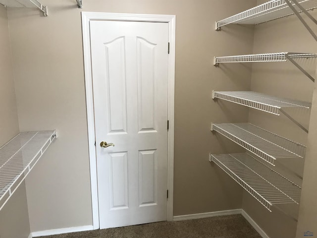 spacious closet with dark colored carpet