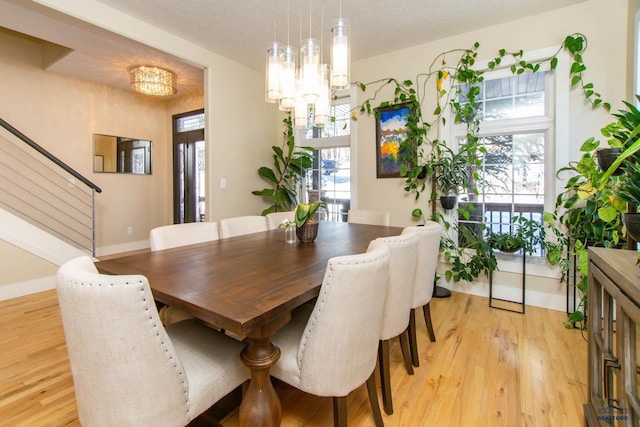 dining room featuring a notable chandelier, light hardwood / wood-style floors, a textured ceiling, and a wealth of natural light