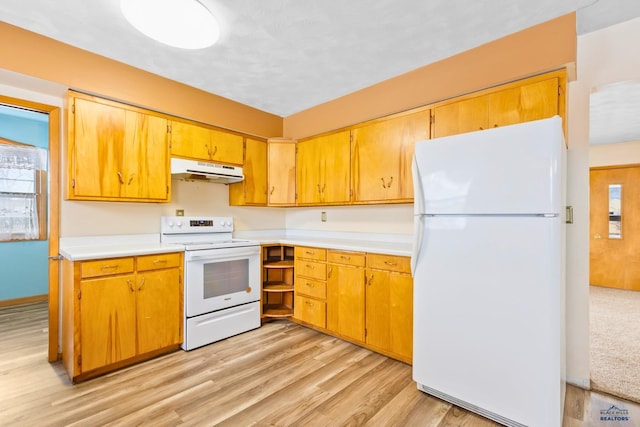 kitchen with light hardwood / wood-style flooring and white appliances