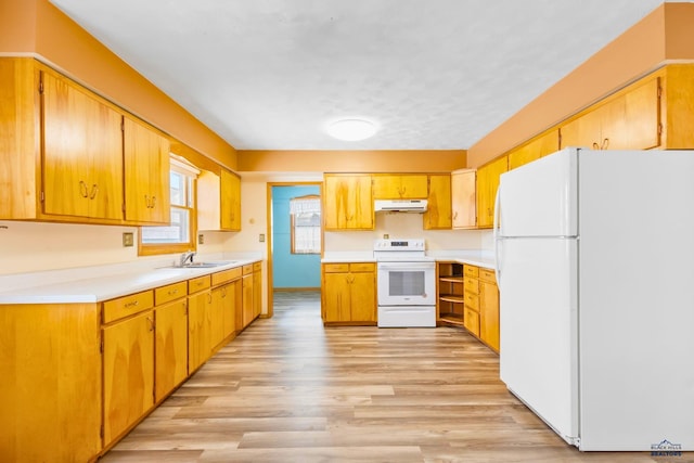 kitchen featuring sink, white appliances, and light hardwood / wood-style floors