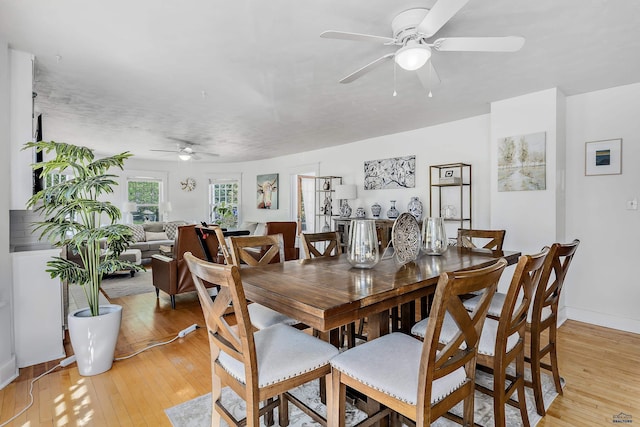 1016 W Blvd, Rapid City, SD 57701 - dining space featuring light wood-type flooring, baseboards, and a ceiling fan