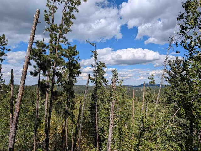 TBD Nevada Gulch Rd, Lead, SD 57754
