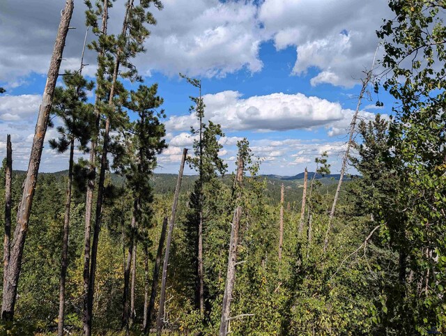 TBD Nevada Gulch Rd, Lead, SD 57754