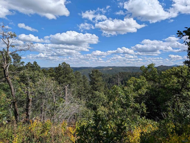 TBD Nevada Gulch Rd, Lead, SD 57754