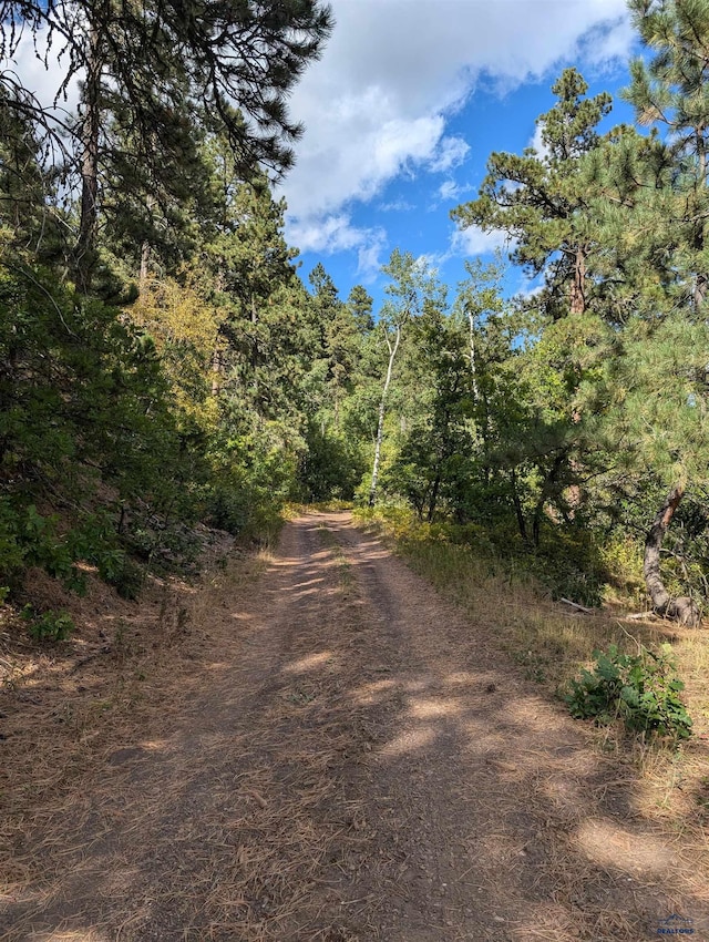 TBD Nevada Gulch Rd, Lead, SD 57754