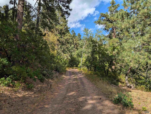 TBD Nevada Gulch Rd, Lead, SD 57754
