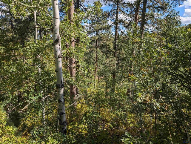 TBD Nevada Gulch Rd, Lead, SD 57754