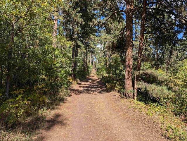 TBD Nevada Gulch Rd, Lead, SD 57754