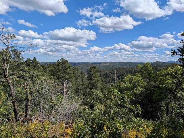 TBD Nevada Gulch Rd, Lead, SD 57754