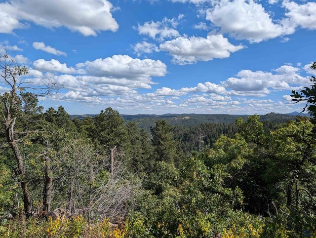 TBD Nevada Gulch Rd, Lead, SD 57754