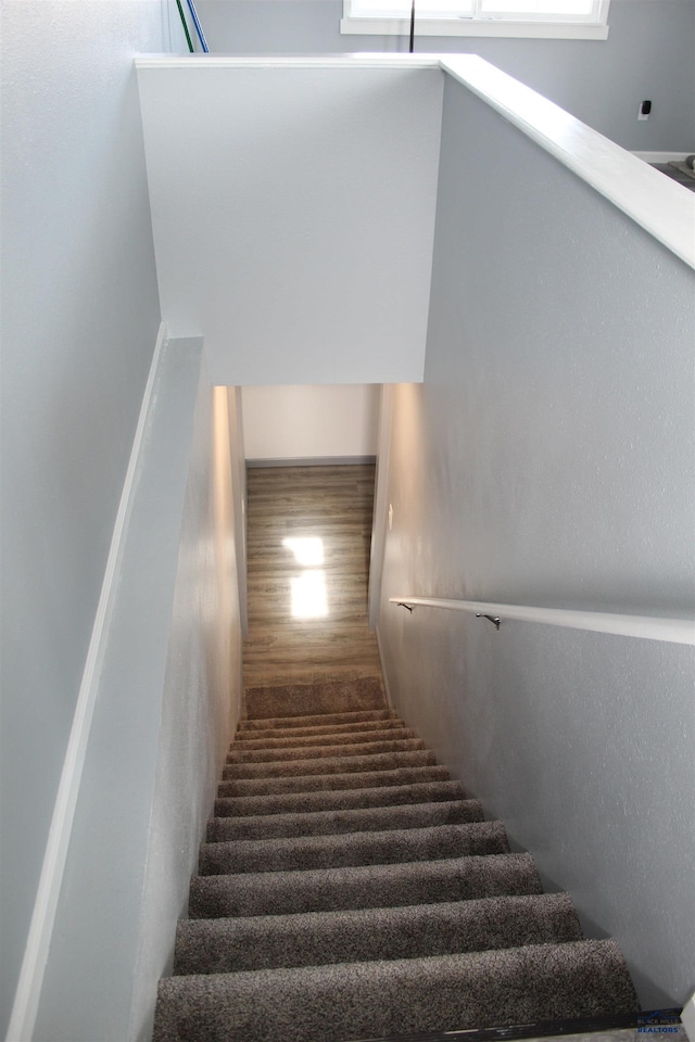 staircase featuring wood finished floors