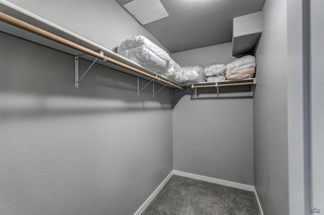 walk in closet featuring dark carpet