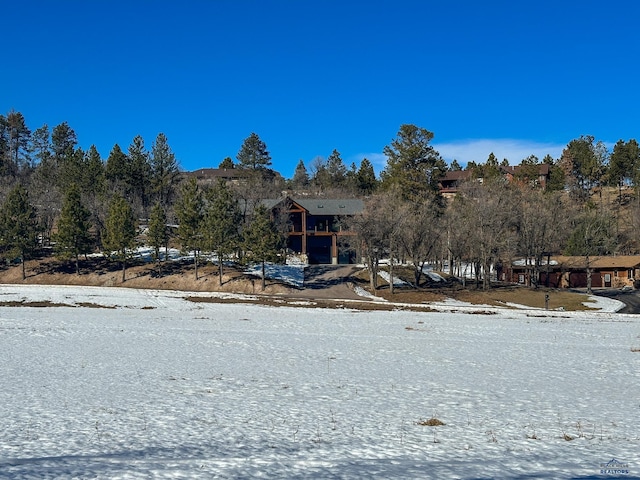 20216 Ponderosa Dr, Whitewood, SD 57793 - yard covered in snow with view of wooded area