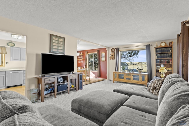 living room featuring light carpet and a textured ceiling