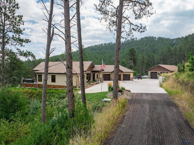 view of front of house featuring driveway, a chimney, and a view of trees