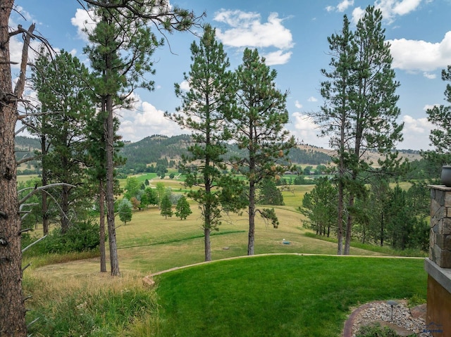 view of community featuring a yard and a mountain view