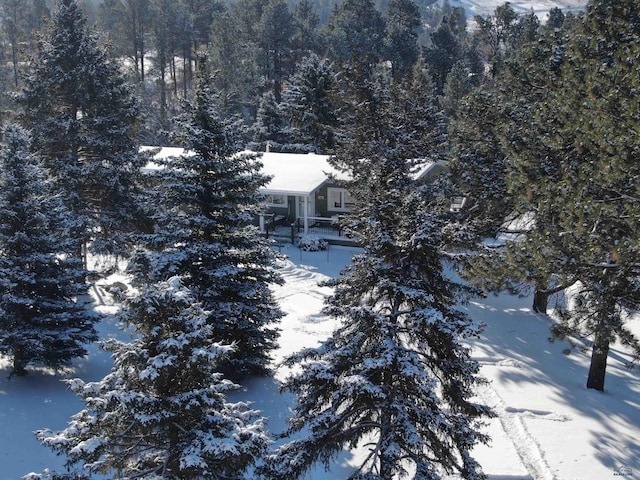 snowy aerial view with a forest view