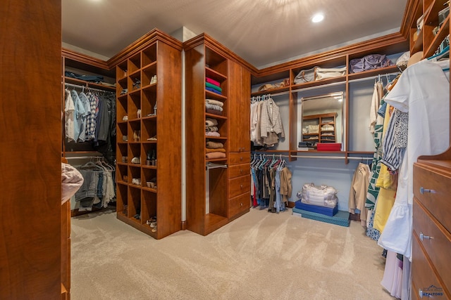 spacious closet featuring carpet flooring