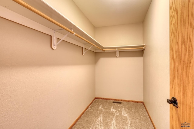 spacious closet with carpet floors